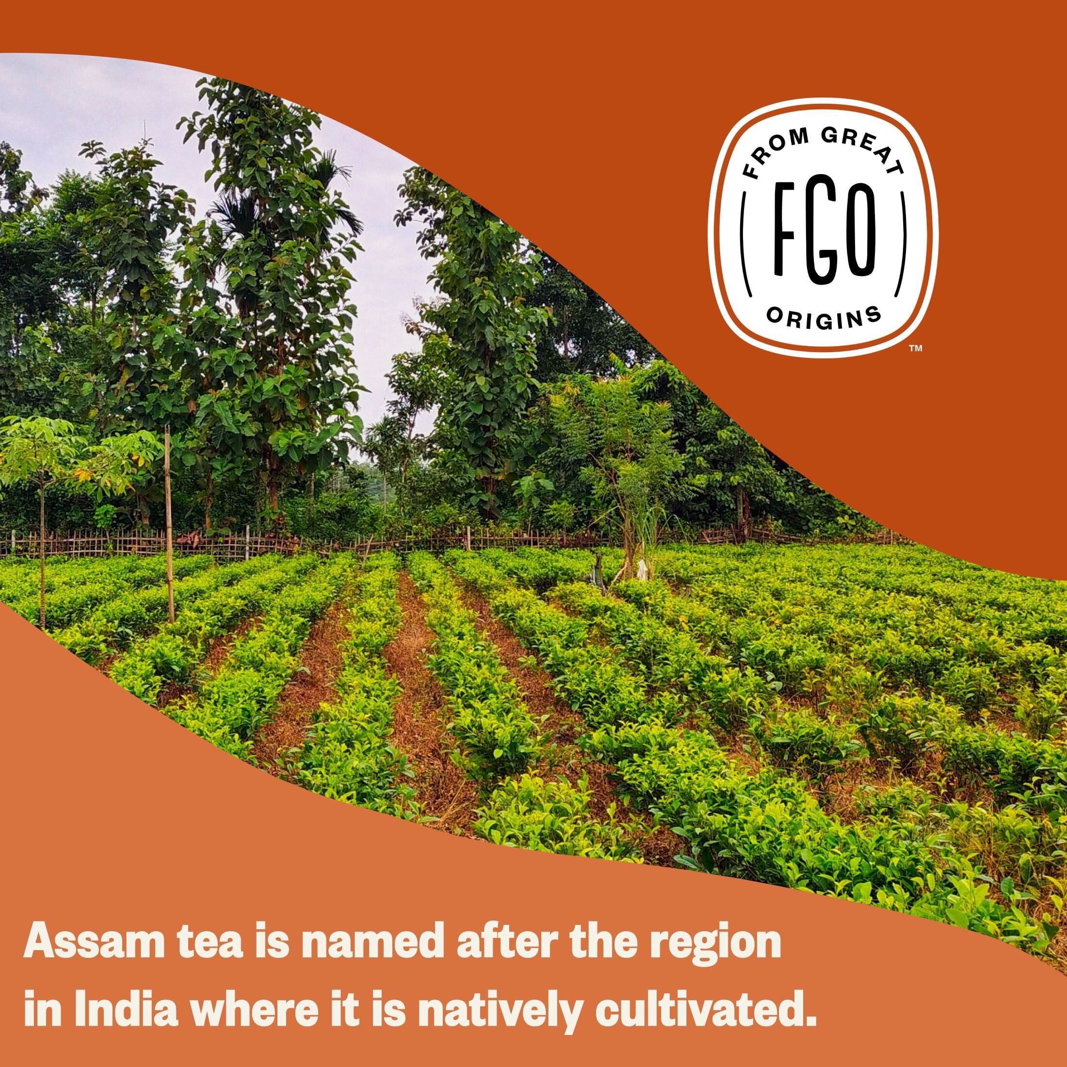 FGO Assam Tea, Organic, Eco-Conscious Tea Bags (100 Count)