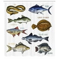 thumbnail image 3 of Ambesonne Fishing Theme Shower Curtain, Fishes and Names Info, 69"Wx75"L, White Multicolor, 3 of 3