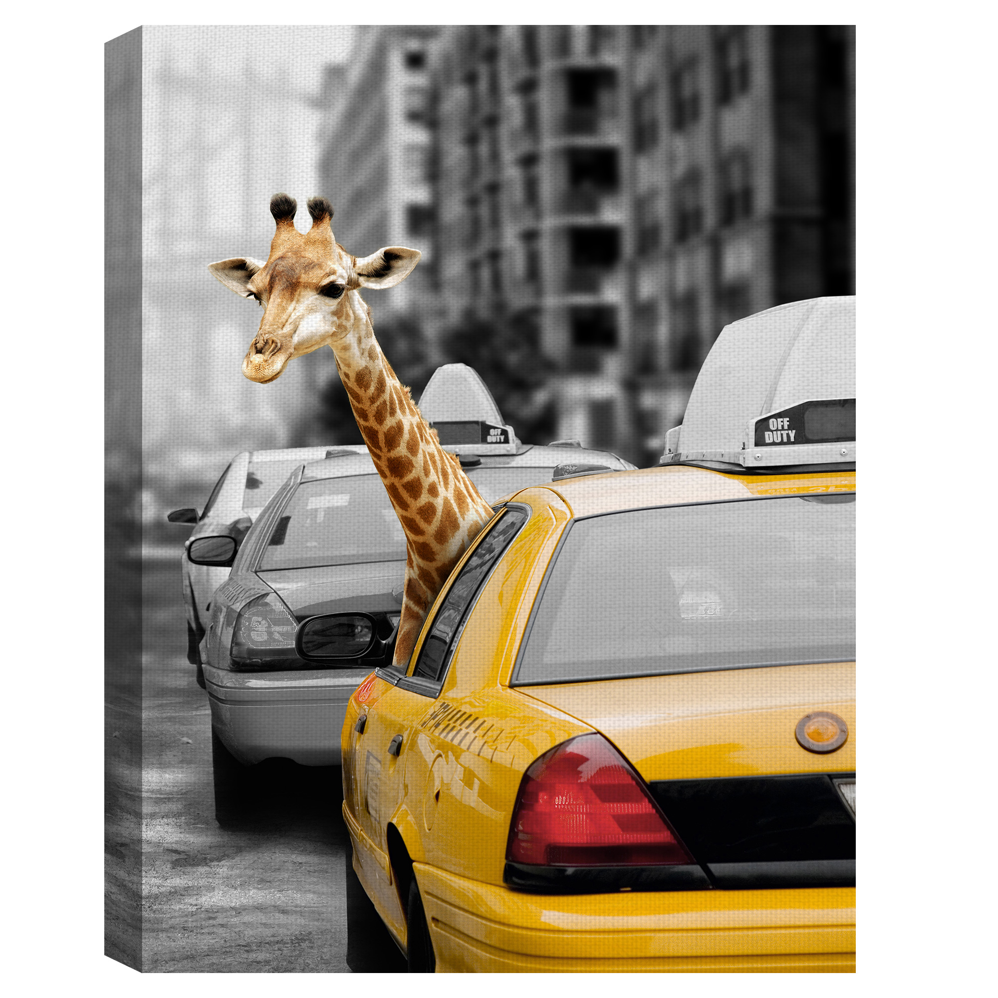 Masterpiece Art Gallery Urban Jungle Giraffe In Taxicab by Belle Maison Canvas Art Print 30" x 40"