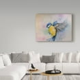 thumbnail image 3 of Trademark Fine Art 'Bluebird Yellow' Canvas Art by Angie Livingstone, 3 of 3