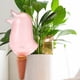 thumbnail image 4 of Herramienta automática de agua para plantas y flores, maceta transparente con forma de pájaro, 4 of 6