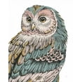 thumbnail image 2 of Brissonnet, Daphne 15x18 White Modern Wood Framed Museum Art Print Titled - Beautiful Owls I Pastel, 2 of 4