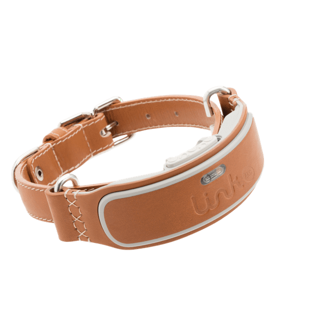 Link AKC Smart GPS Dog Collar ? GPS Location Tracker & Activity Monitor
