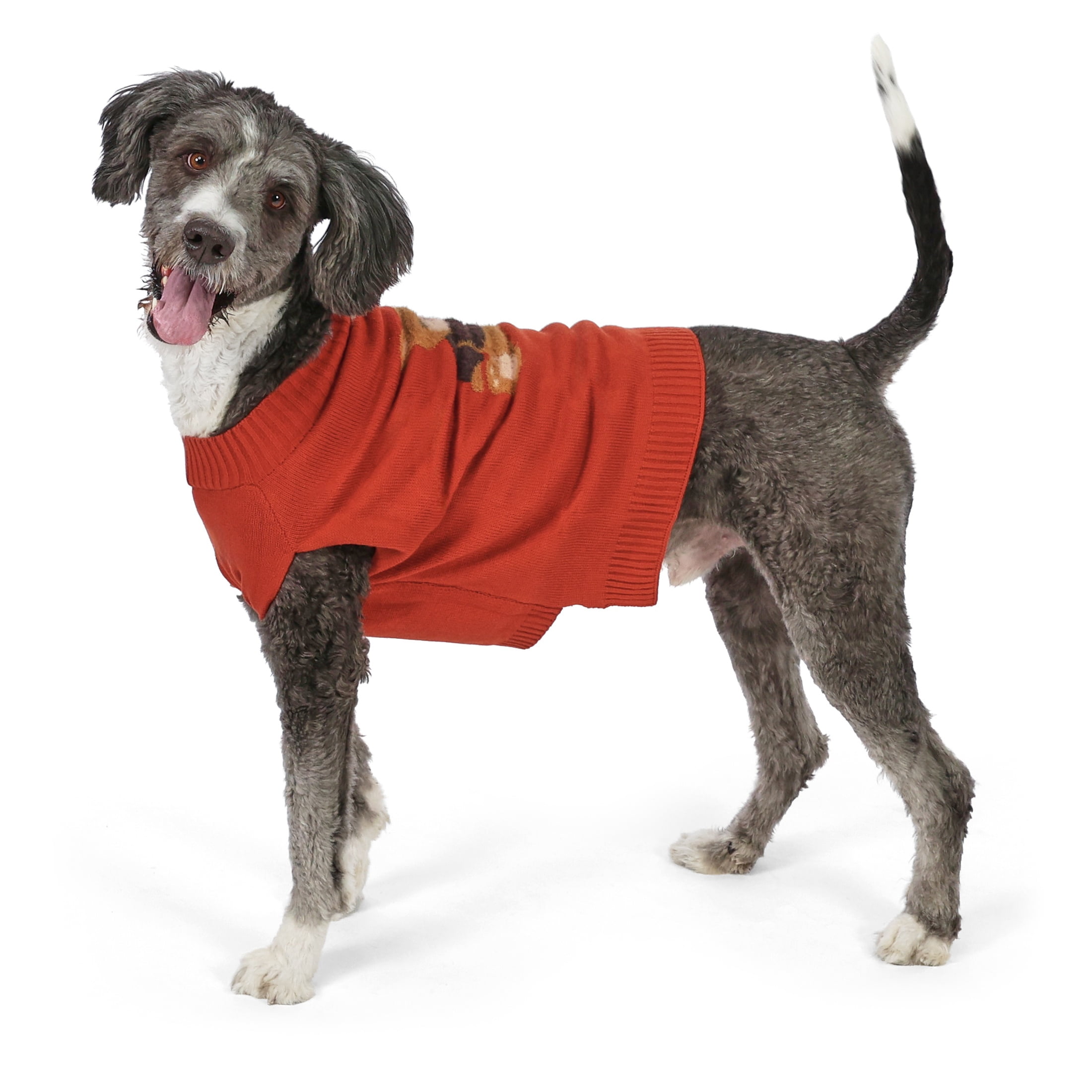 Vibrant Life Knit Sweater for Dogs, Teddy Bear, Orange, L