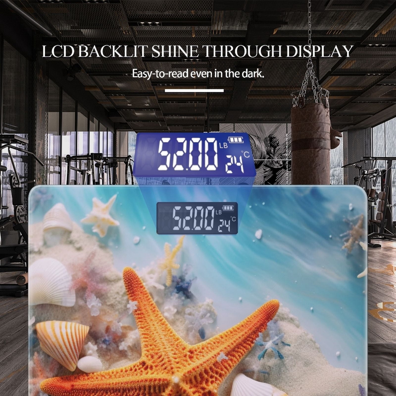 Bathroom Scale, Highly Accurate Digital Body Scale,Precisely Measures Weight up to 400 lbs-Starfish On The Beach And Surrounded By Colorful Seashells