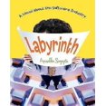 thumbnail image 1 of Labyrinth: A Novel about the Software Industry, 1 of 2