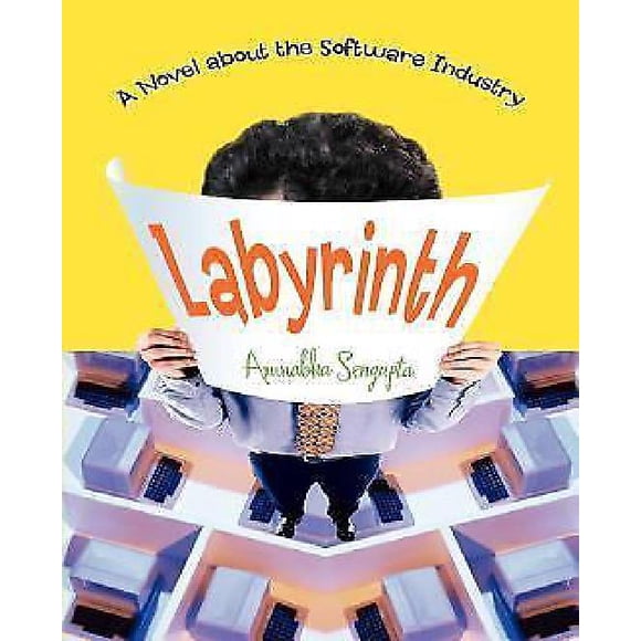 Labyrinth: A Novel about the Software Industry