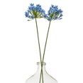 thumbnail image 3 of Hill Interiors Agapanthus Artificial Flower Spray, 3 of 4