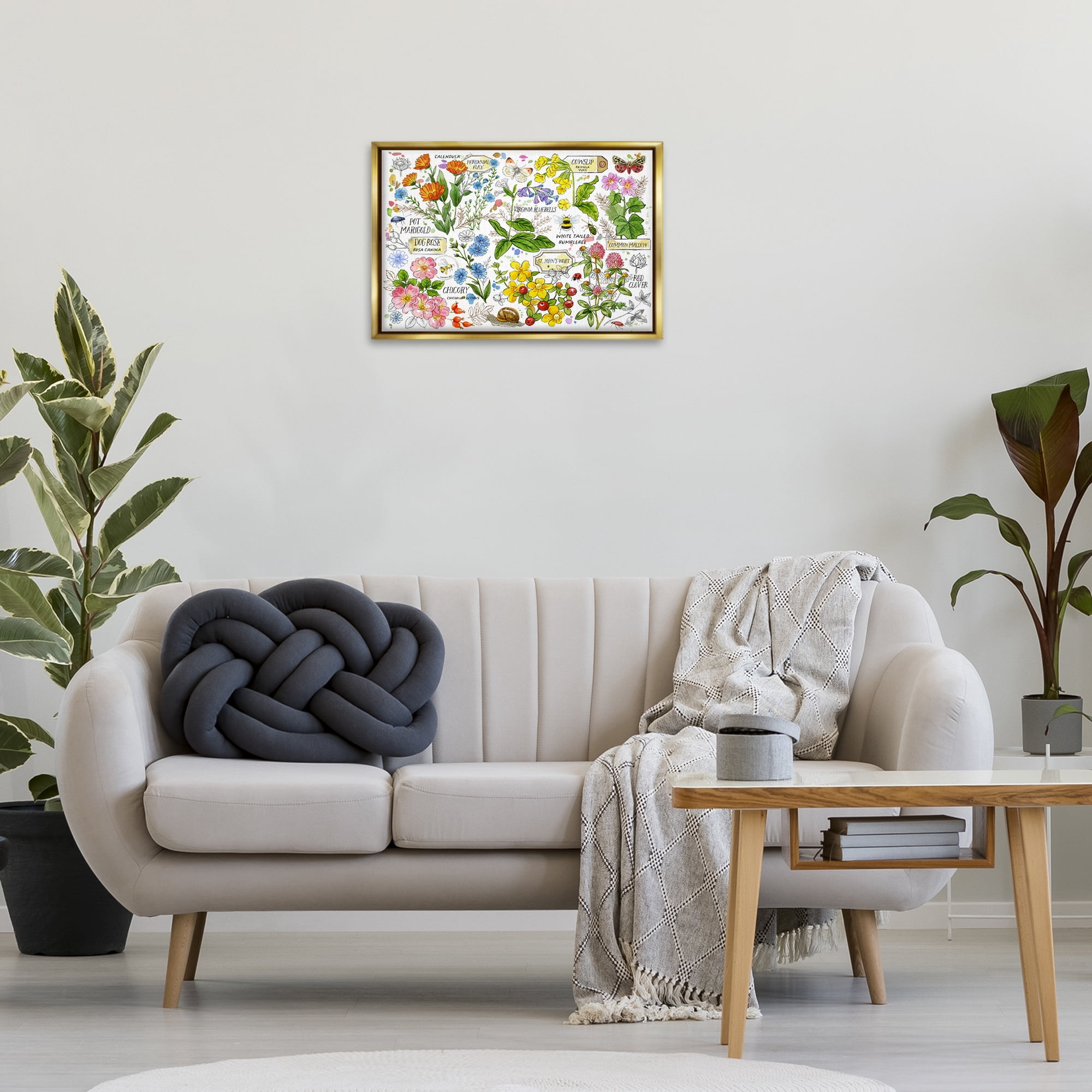 Stupell Industries Various Herbs Benefits Botanical & Floral Painting Gold Floater Framed Canvas Art Print Wall Art, 25 x 17
