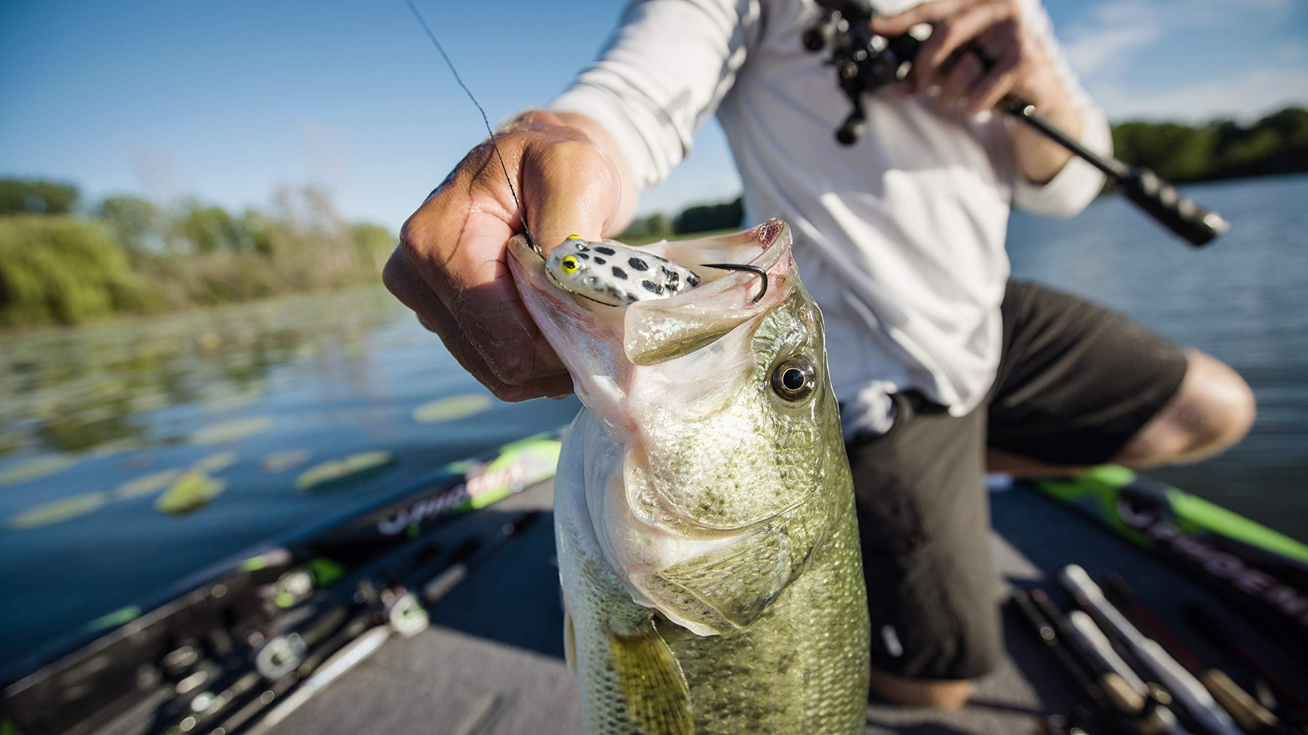 PowerBait® Buzz'n Speed Toad