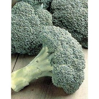 Burpee Sun King Hybrid Broccoli Vegetable Seed, 1-Pack - Walmart.com