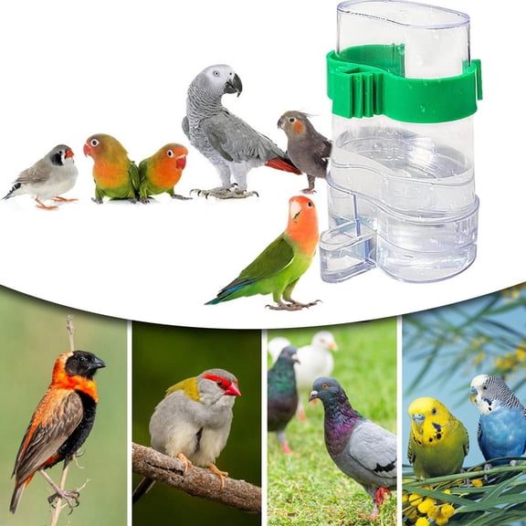 FurNest Birds Water Feeders Dispenser Automatic Bird Feeder Automatic Feeder D