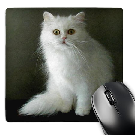 3dRose  White Persian  MousePad price history on PriceWatchPro