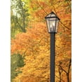 thumbnail image 2 of 3 Light Outdoor Post Mount Lantern In Traditional Style 10 Inches Wide By 114 Inches High-Oil Rubbed Bronze Finish Z-Lite 579Phbs-536P-Orb, 2 of 4