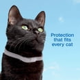 thumbnail image 5 of Adams Plus Flea & Tick Collar for Cats Water-Resistant Up to 7 Months Protection 3PCK, 5 of 9