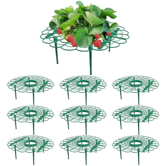 AXKIIN 10 Packs Strawberry Supports, Strawberry Planting Rack with 4 Sturdy Support Feet, Strawberry Supports for Garden, Strawberry Plant Support Prevent Strawberry Rot.
