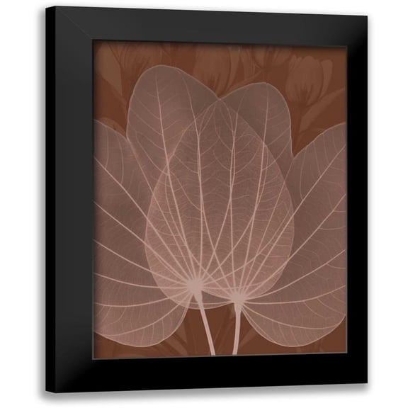 Koetsier, Albert 11x14 Black Modern Framed Museum Art Print Titled - Orchid Tree Fan
