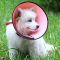 thumbnail image 2 of Dog Protective Cone Adjustable Bite-proof Pet Recovery Collar Dog Cone Collar, 2 of 10