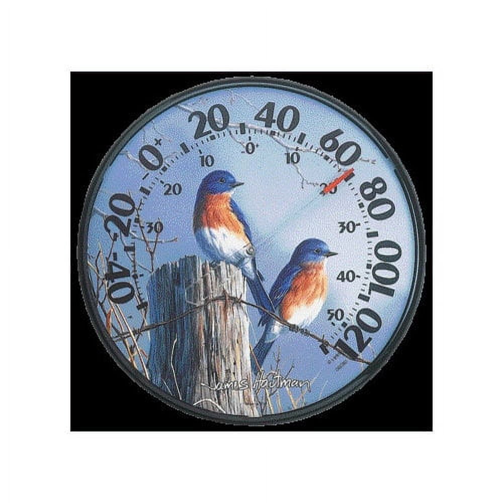 Accurite Basic Thermometer