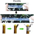 thumbnail image 3 of Cinta de injerto para vivero de 100m, 3 rollos, 3cm, película de injerto de floristería de árbol transparente autoadhesiva elástica para árbol de jardín, 3 of 4