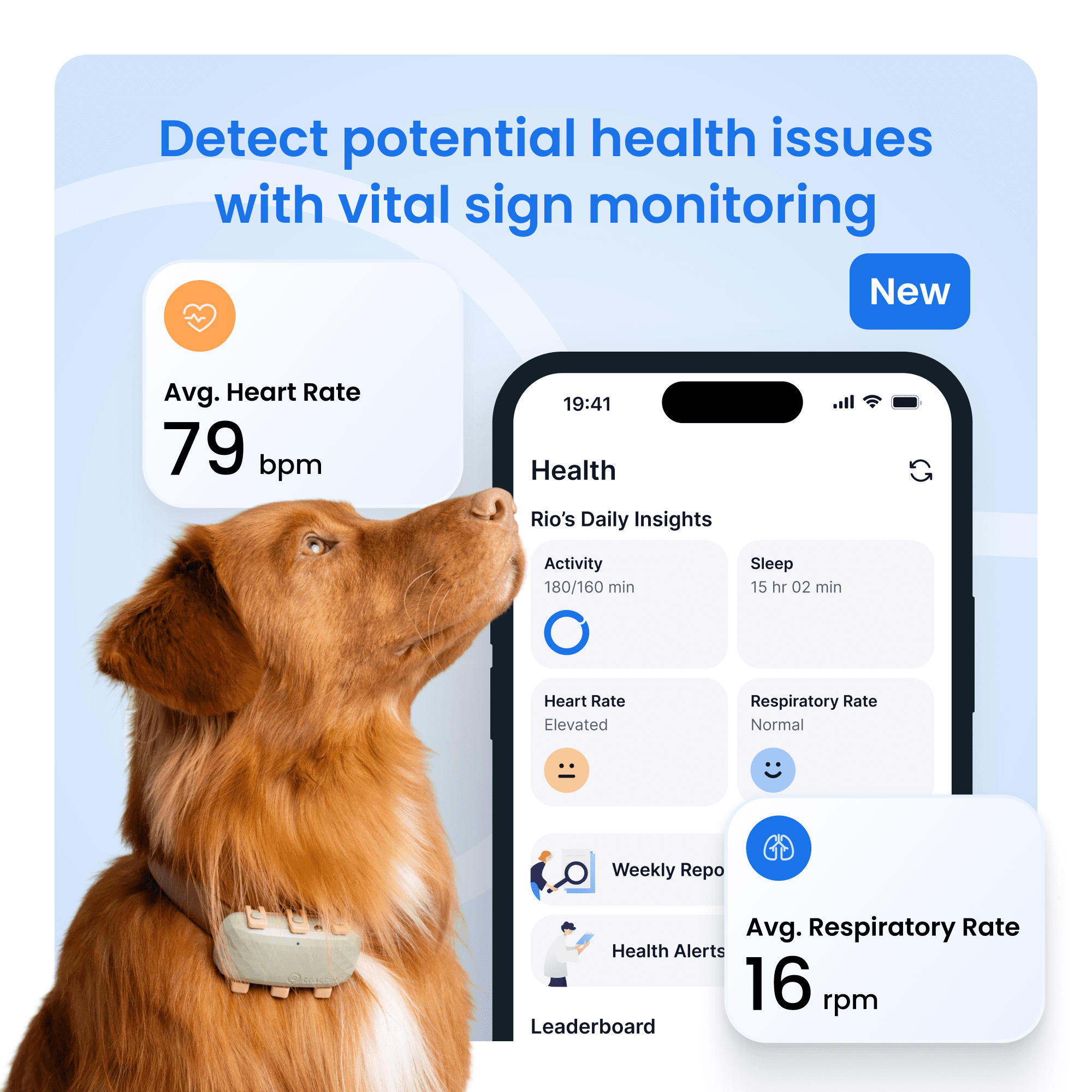 Tractive XL Smart Dog GPS Tracker with Vital Signs Monitoring (Green)