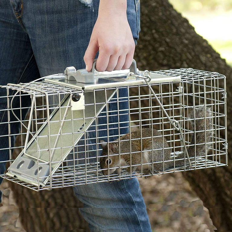 Havahart 1083 Easy Set One-Door Cage Trap for Squirrels and Small Rabbits 