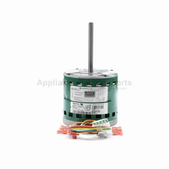 Motor ECM Evergreen 230V 13 HP 6203E