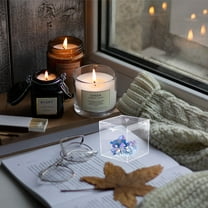 BESTYASH 4Pcs Acrylic Display Case Clear Square Cube Organizer Containers with Lid for Jewelry and Collectibles