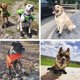 thumbnail image 2 of Zapatos para perros grandes, botas impermeables antideslizantes para perros y protectores de patas para pavimento caliente de verano e invierno, botines transpirables y reflectantes para, 2 of 6