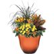 thumbnail image 2 of Classic Home and Garden Honeysuckle Resin Flower Pot Planter, Tequila Sunrise, 15", 2 of 4