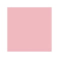 thumbnail image 1 of Chartpak AP161 Marqueur Artistique Poudre Rose, 1 of 1