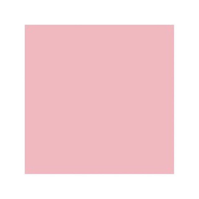 Chartpak AP161 Marqueur Artistique Poudre Rose