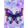 thumbnail image 1 of Taladro Diamante Pintura (DF3865) 5D DIY Completo Mariposa Bordado Mosaico Kit (02) 45x60cm Hugtrwg Para estrenar, 1 of 1
