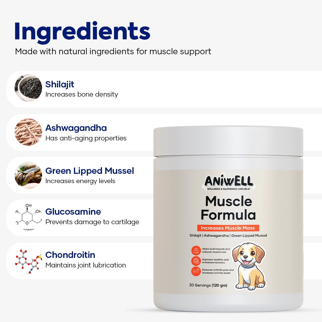 Aniwell Muscle Formula for Dogs: with Shilajit Ashwagandha and Green Lipped Mussel | Glucosamine Chondroitin Hip and Joint Support | Muscle Strength and Mobility