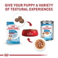 thumbnail image 3 of Combo Royal Canin Medium Puppy 2.7 Kg MAS Dos Latas Royal Canin Adulto 385 gr, 3 of 3