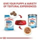 thumbnail image 3 of Royal Canin Medium Puppy 2.7 Kg Original Sellado + Pelota Spiny Caucho, 3 of 3