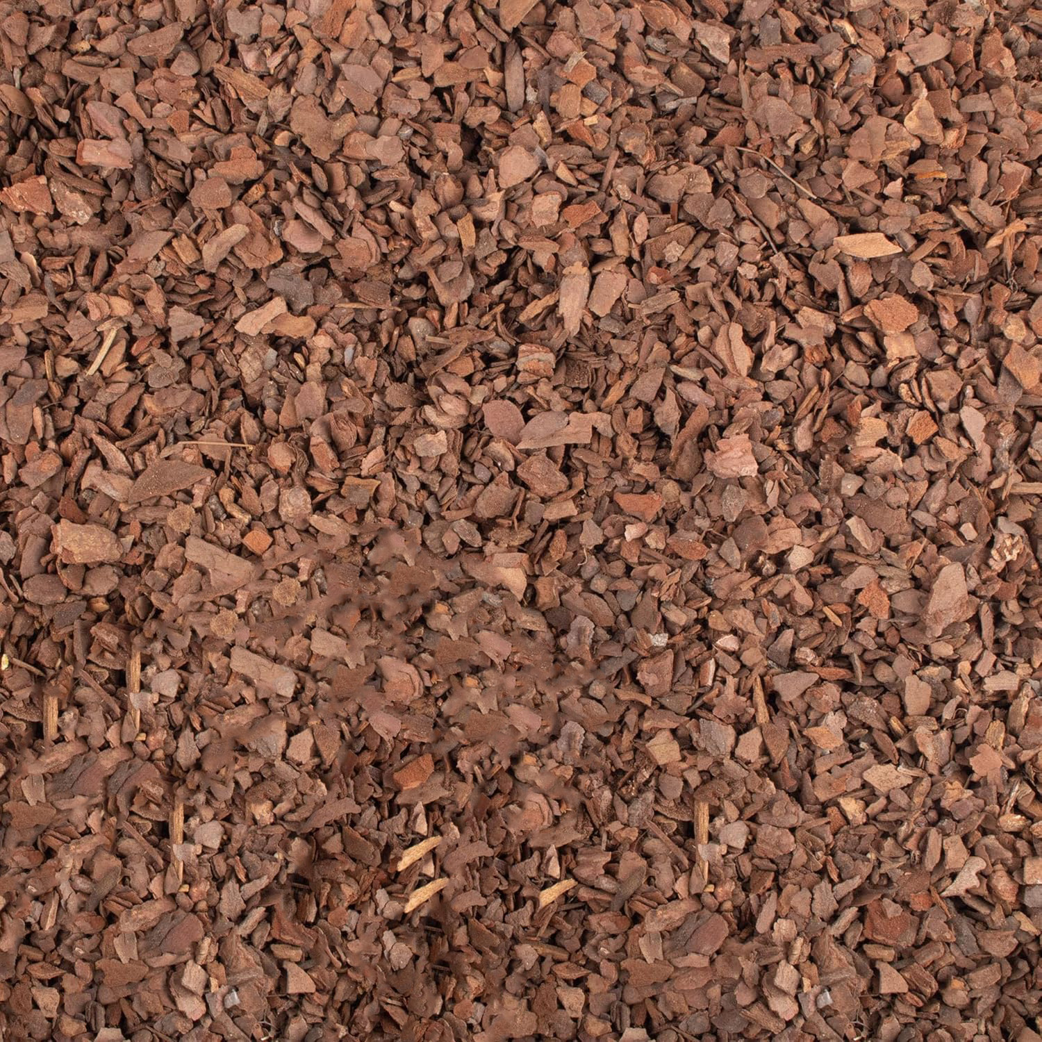 Organic Orchid Potting Mix,Bexikou Orchid Barks Organic Pine Bark,10oz 0.1-0.35in Natural Orchid Bark Potting Mix for Succulents,Orchids, Indoor Plants,Pine Bark Chips for Optimal Drainage & Aeration