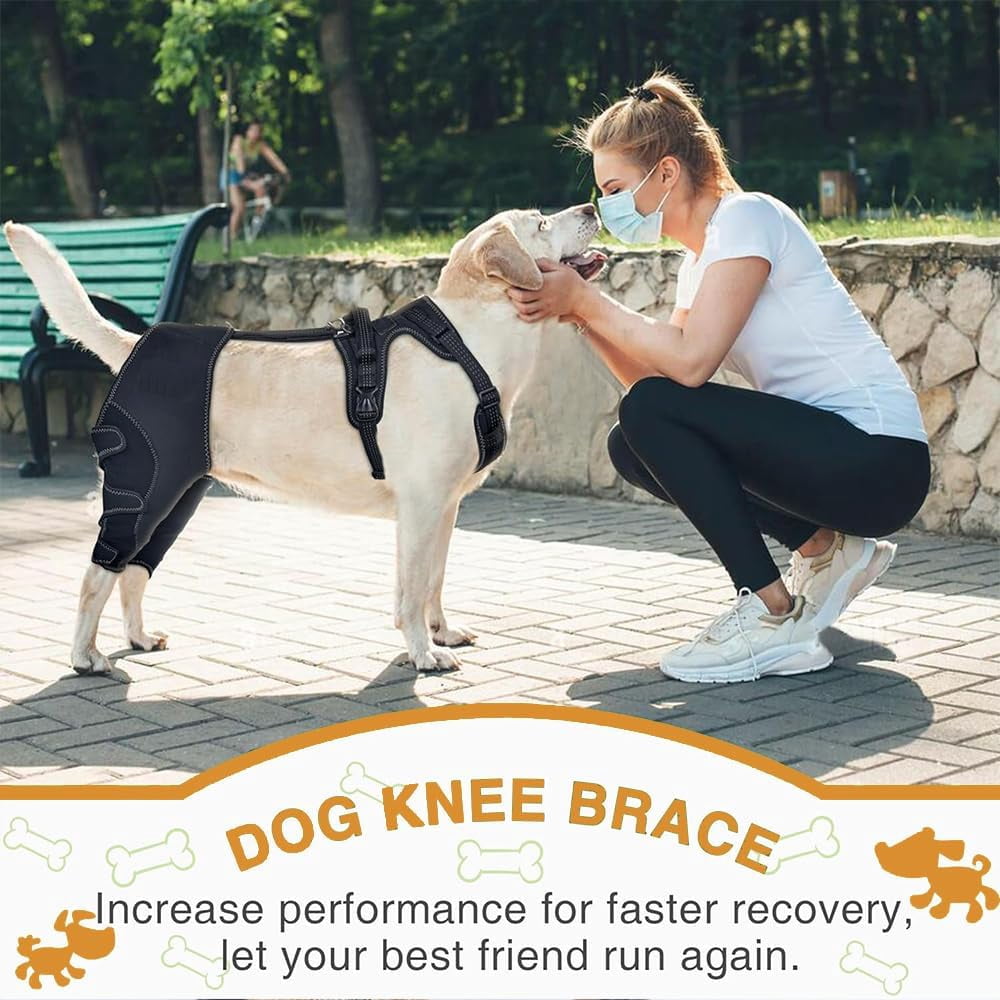 Wag Wize Knee Brace Harness for Dogs — Immediate Pain Relief & Improve Mobility,Wagwize Dog Knee Brace with Harness/4 Limb Wear Adjustable/Metal Stabilization System,Wagwize Dog Hip Brace (M)