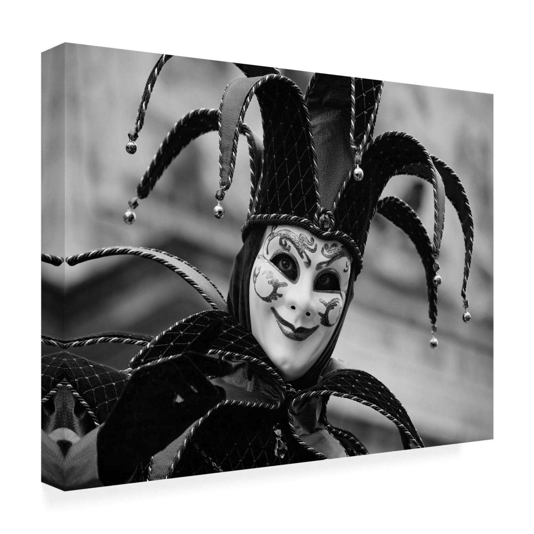 Canvas Wall Art - Stefan Nielsen 'Jester' Wall Art for Living Room, Bedroom, or Office Décor by Trademark Fine Art - 19 x 14 Inches