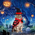 thumbnail image 5 of Disfraz de mago para mascotas de gato de Halloween, disfraz de mascotas para gatito cachorro para Halloween, 5 of 5