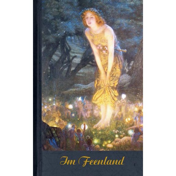 Im Feenland (Notizbuch): Notizbuch, Fantasy, Fantasie, Märchen, Fee, Magie, Zauber, Troll, Notebook, Einschreibbuch, Tag, (Paperback)