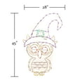 thumbnail image 2 of Holidynamics LED Outdoor Metal Framed 45in Witch Owl Halloween Display, 2 of 5