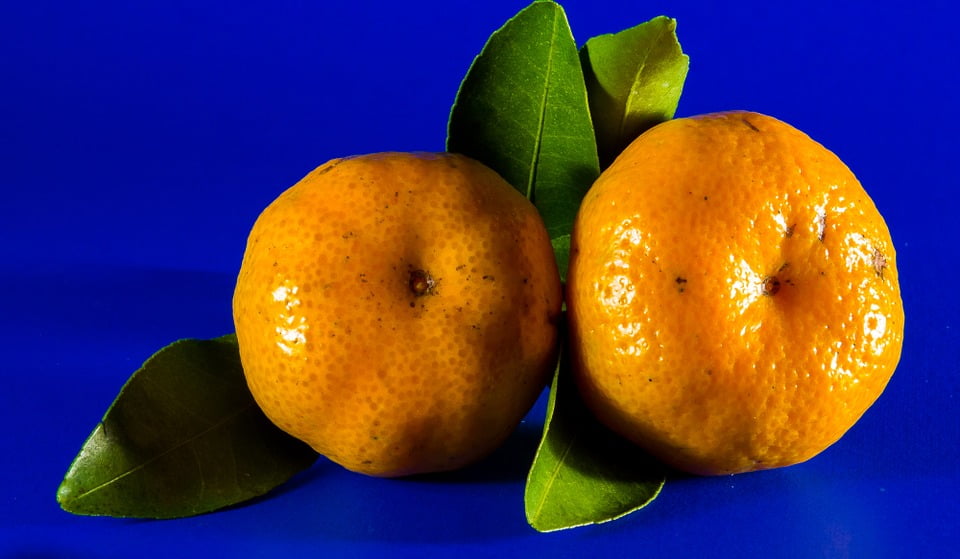 Citrus Fruit Fruit Mandarin Orange20 Inch By 30 Inch