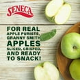 Seneca Granny Smith Apple MSF2 Chips Made from Fresh 100 Granny