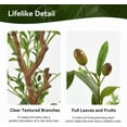 thumbnail image 4 of Hawsaiy 2 Pack 6FT Artificial Olive Tree with Natural Wood Trunk, Realistic Leaves & Fruits for Modern Home Office Living Room Decor, 4 of 10