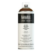 Liquitex Professional Spray Paint, 400ml, Raw Umber