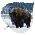 thumbnail image 2 of Next Innovations  Bison on Large Aspen Leaf Steel Wall Art, 2 of 2