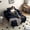 Black, variant on Sodrens 67" Oversized Chaise Lounge Chair Indoor,Cloud Plush Corduroy Upholstered Sofa Bed,Modern Deep Seat Sofa with Back Cushion,Pillows,Cozy Sleeper Couch for Living Room,Brown