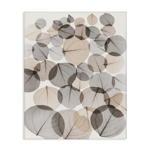 Stupell Industries Scandinavian Tree Leaf Pattern Brown Foliage Plant Veins Canvas Art, 16 x 20, by Albert Koetsier