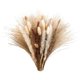 thumbnail image 1 of Hierba de pampa seca natural Afortunado decoración Boho, 1 of 5